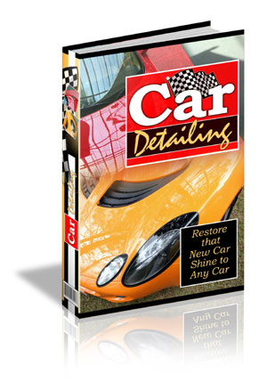 Bonus Gift: Car Detailing Guide!